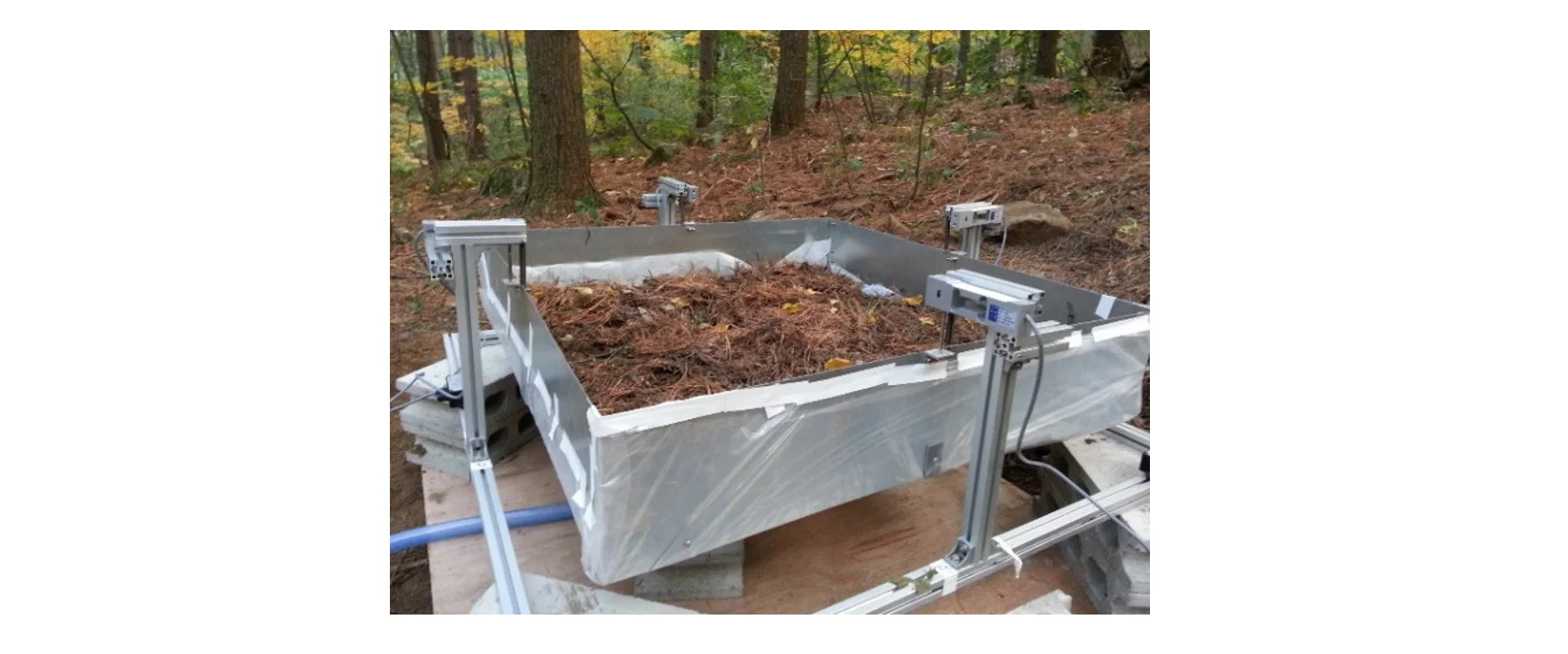Measuring Forest Evapotranspiration: From Leaf Weight to Water Flux