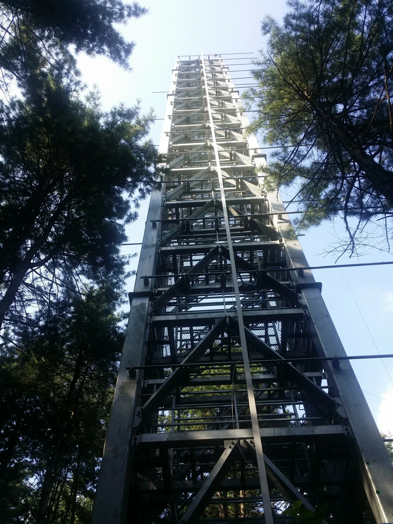 Eddy Covariance Tower View 3