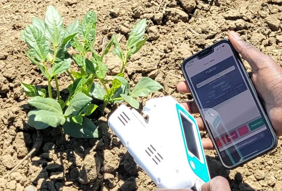 Building a Field-Ready Leaf Angle Measurement App