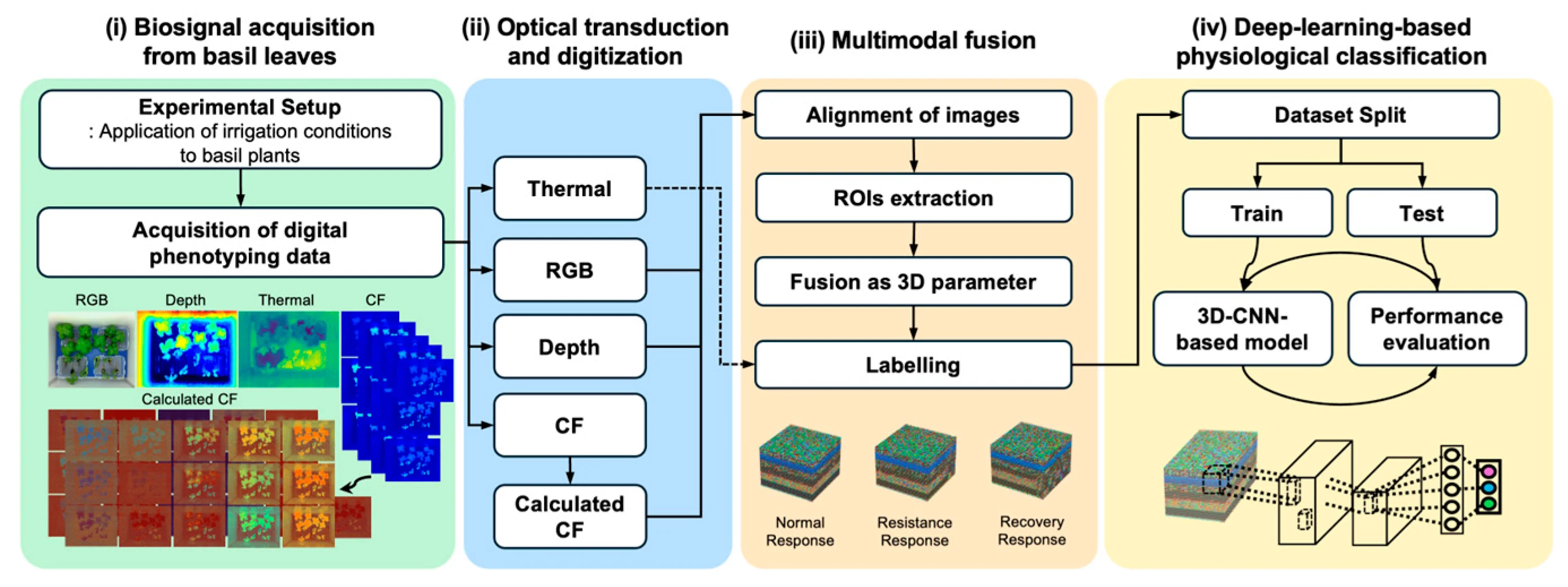 Journal Paper: Multimodal Optical Biosensing and 3D-CNN Fusion for Basil Water Stress Phenotyping Project