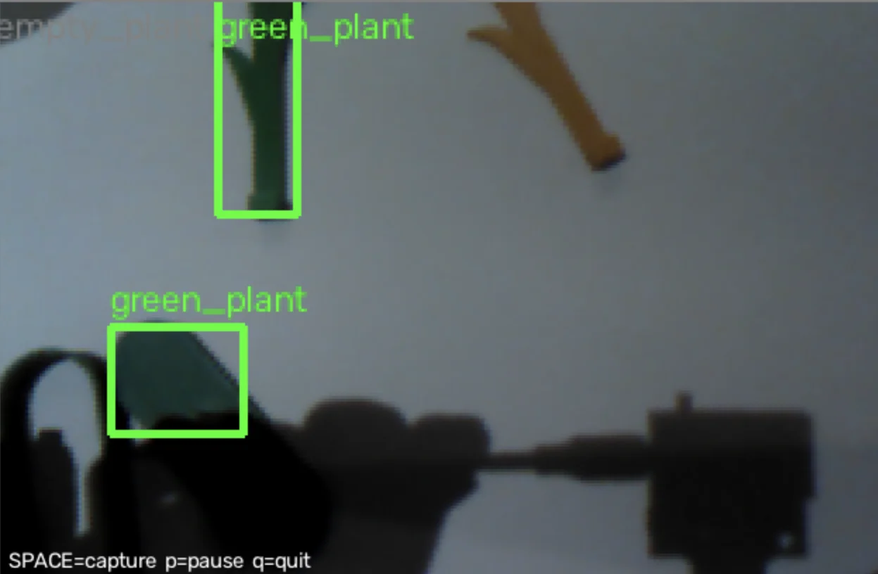 Pixy2 data collection tool showing green_plant boxes proposed by color thresholds