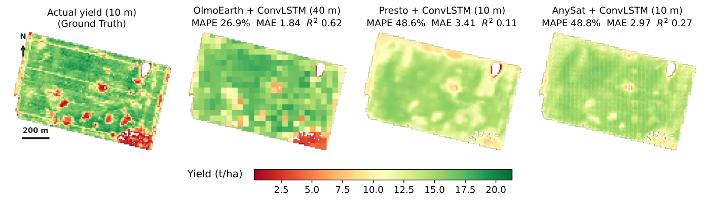 Ground truth yield map of a corn field in Argentina next to yield maps predicted by OlmoEarth, Presto, and AnySat, all on the same color scale