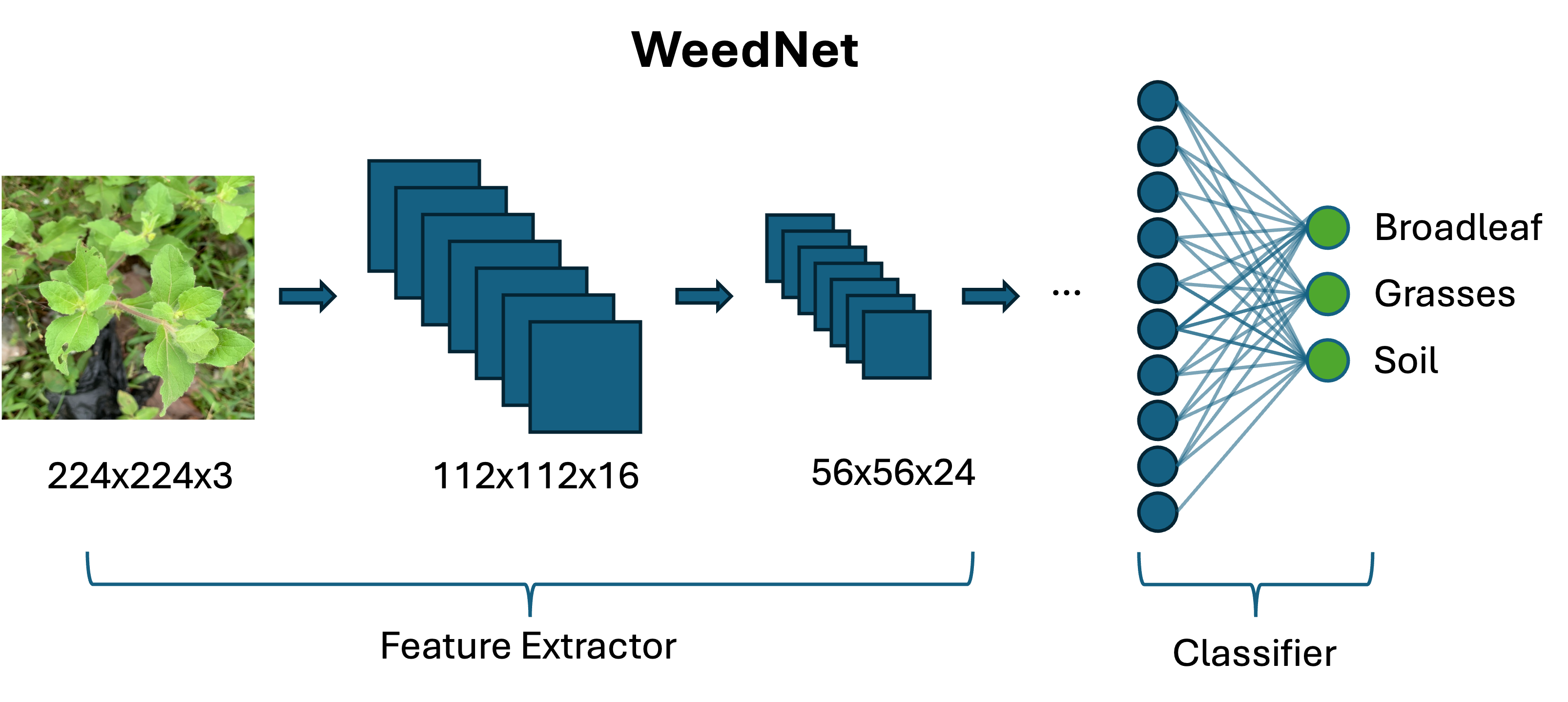 WeedNet Architecture