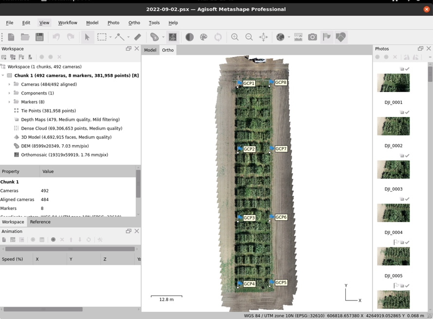 Metashape Processing Result