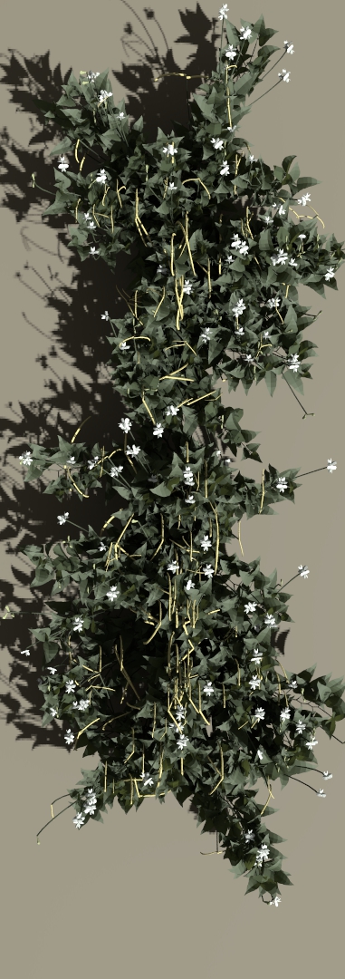 Rendered Bounding Boxes