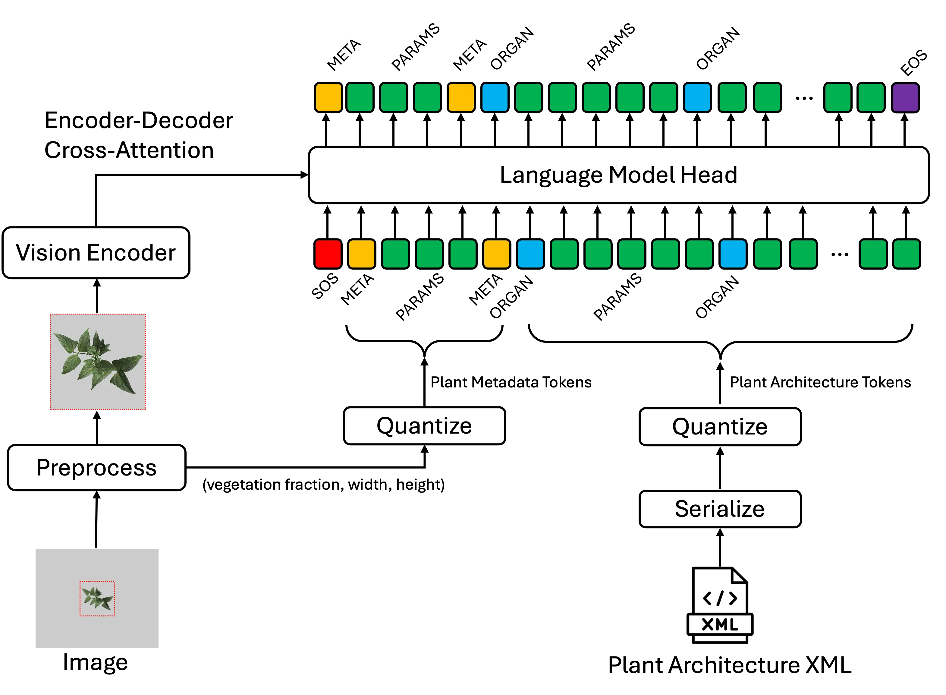 Algorithm Structure