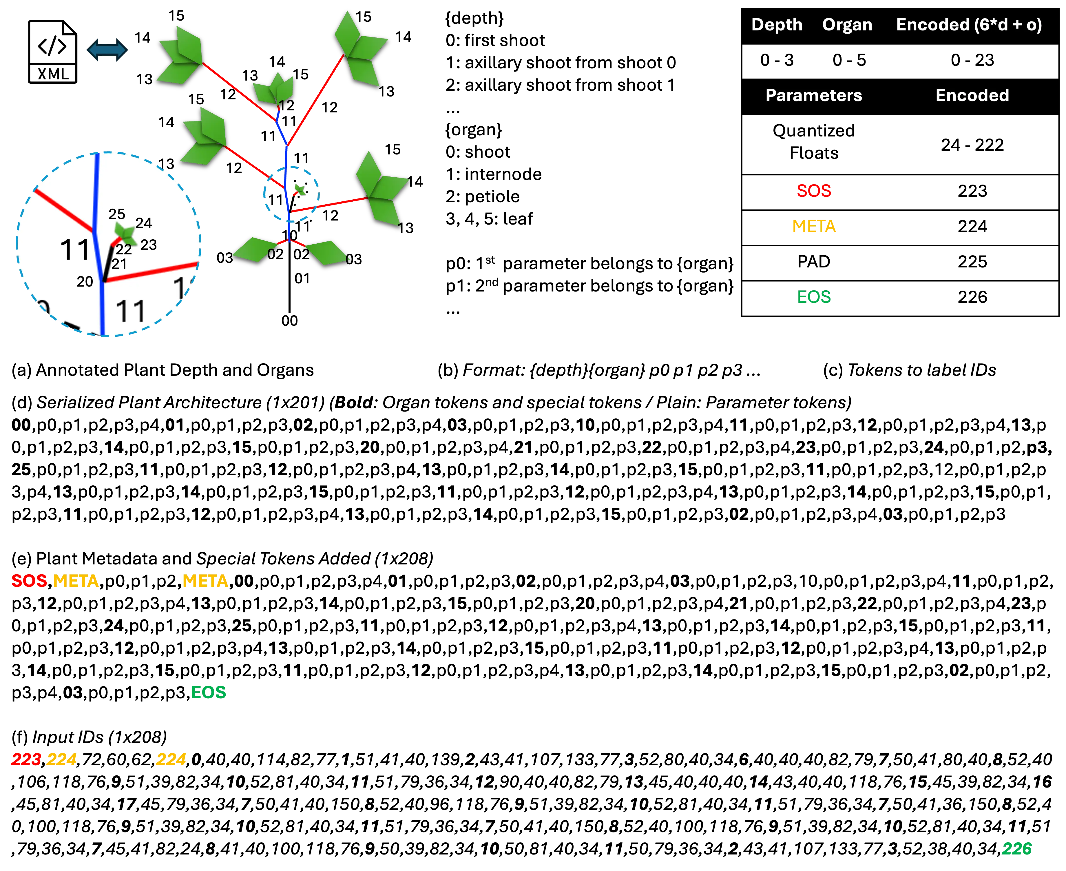 Encoding Process